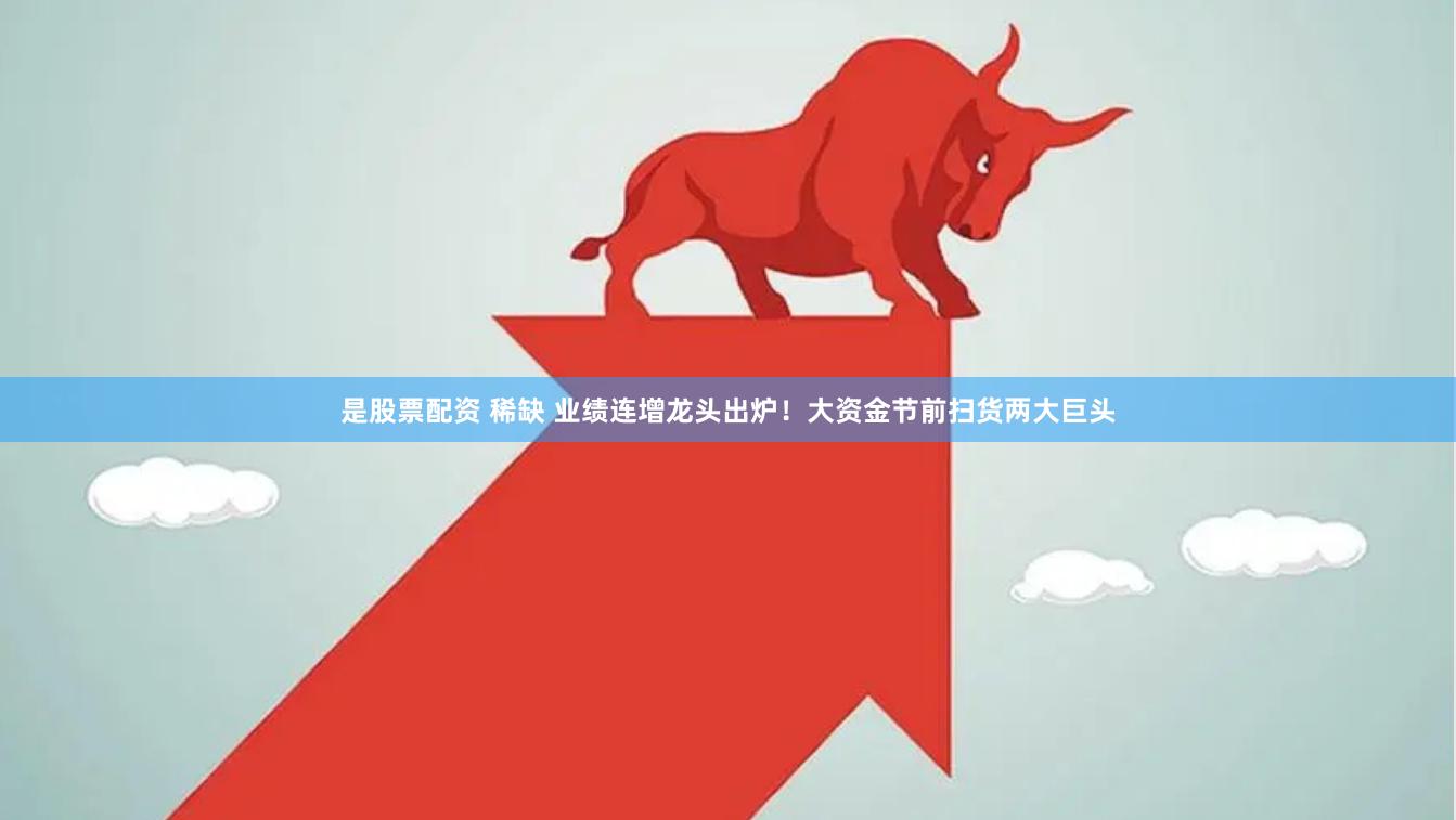 是股票配资 稀缺 业绩连增龙头出炉！大资金节前扫货两大巨头