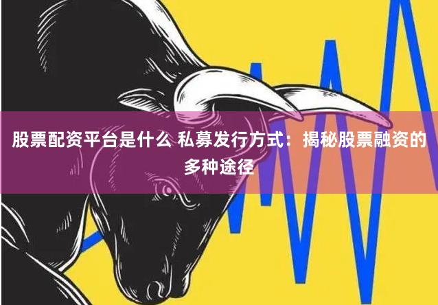 股票配资平台是什么 私募发行方式：揭秘股票融资的多种途径