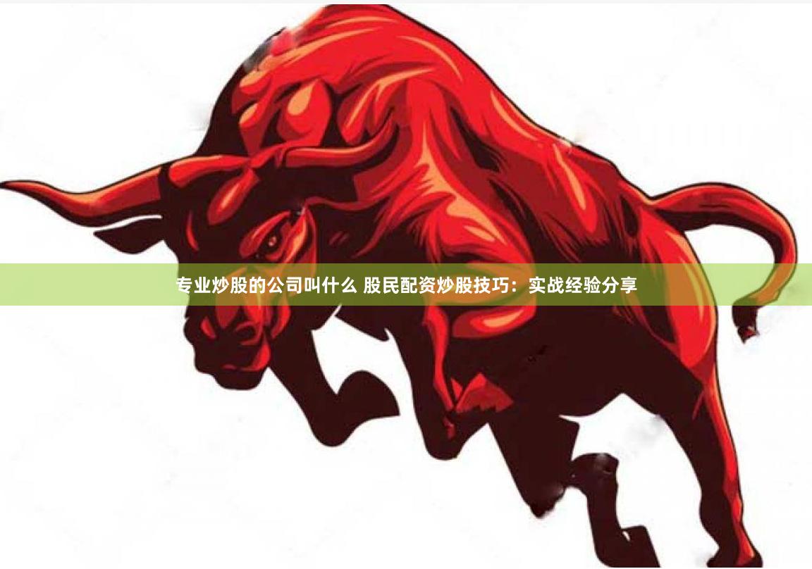 专业炒股的公司叫什么 股民配资炒股技巧：实战经验分享